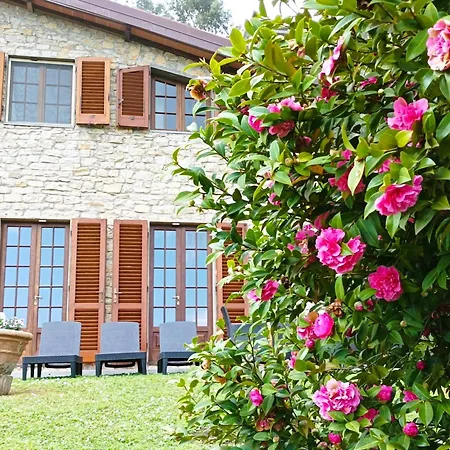 Camelia Tuscany *