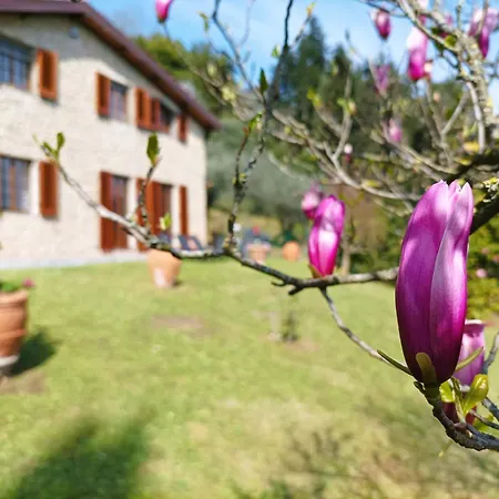 Camelia Tuscany Villa