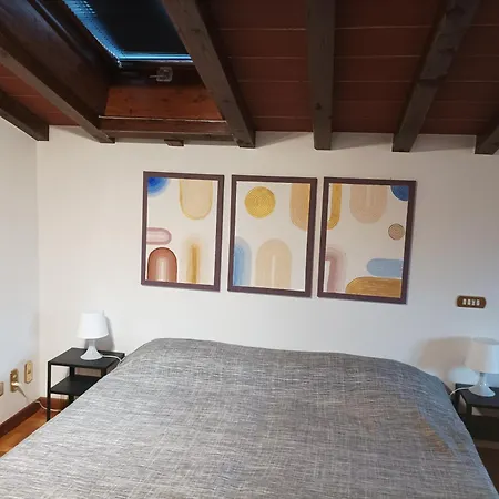 Camelia Tuscany Pescia