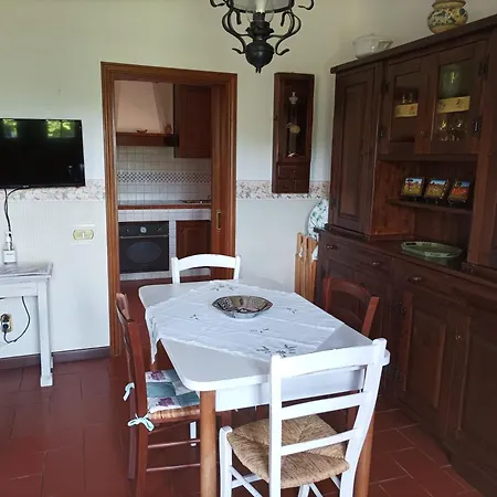 Camelia Tuscany Pescia