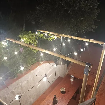 Camelia Tuscany Pescia