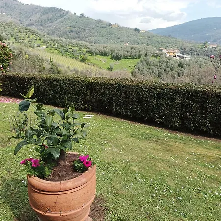 Camelia Tuscany Villa Pescia