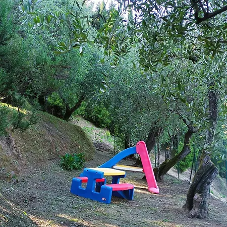 Villa Camelia Tuscany *